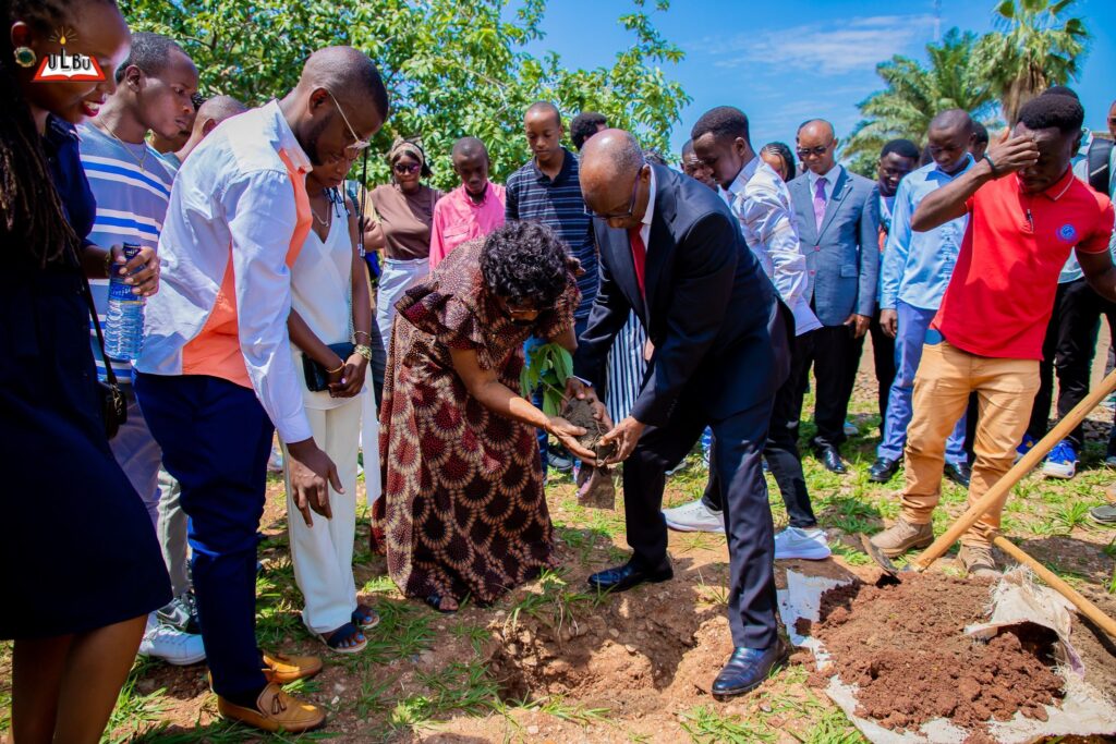 plantation d arbre 2025